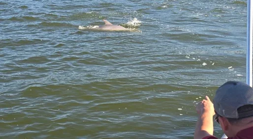 6a59b63622962f2dbc356cc95f5d657493e40ce0