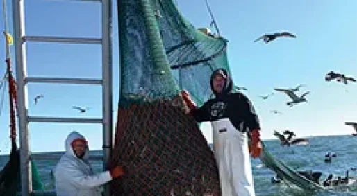 outer-banks-shrimping-obx